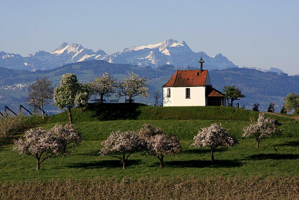 Zum Seglerhafen - Ferienappartement Kressbronn am Bodensee Ngoại thất bức ảnh